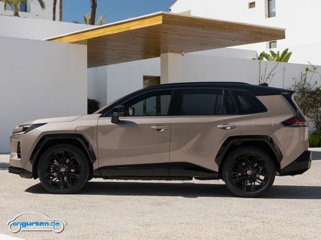 Toyota RAV4 2026 - Farbe: Bronze