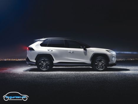 Toyota RAV4 V (MJ 2019) - Bild 4