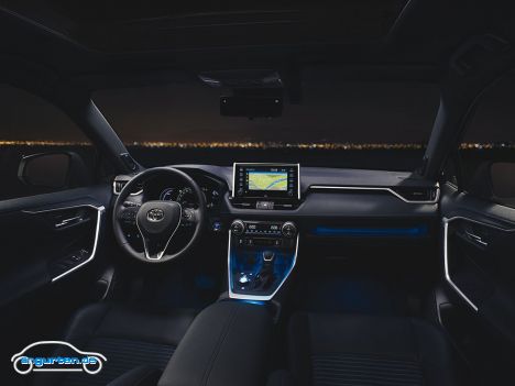 Toyota RAV4 V (MJ 2019) - Bild 6