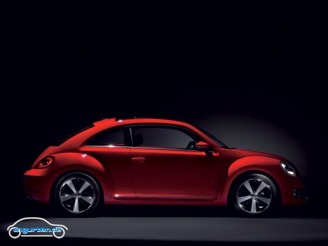 Beetle